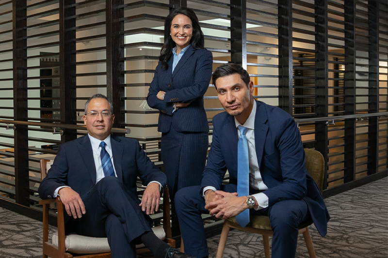 Group of professionals at Lozano Meza Law Firm